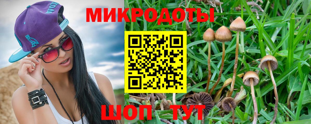 Псилоцибиновые грибы мухоморы  Вход с VPN  Воронеж 